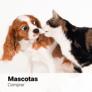 Mascotas